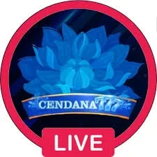 Review Lengkap Aplikasi cendana777 Terbaru